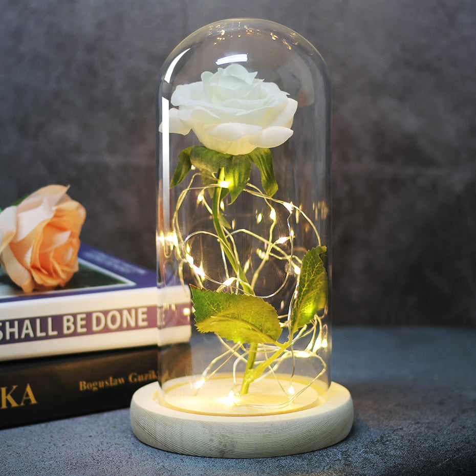 Enchanted Forever Rose Flower in Glass with LED Lights