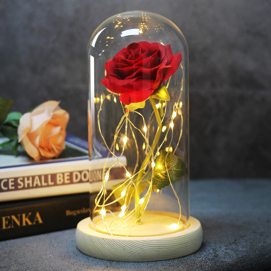 Enchanted Forever Rose Flower in Glass with LED Lights