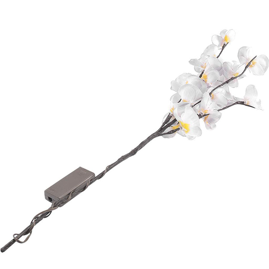 Simulation Phalaenopsis Branch Light