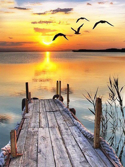 Digital Oil Painting