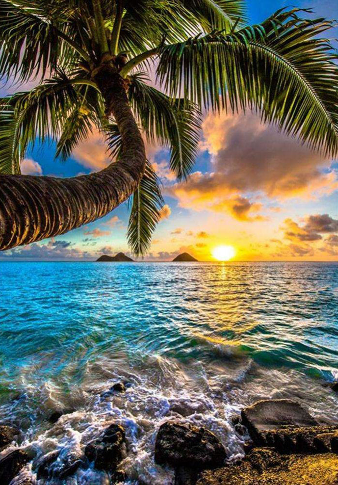 Digital Oil Painting