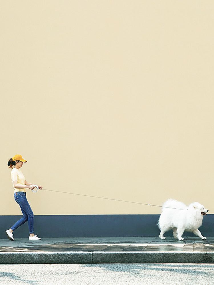 Meng Wangxing UFO Retractable Leash – Small & Medium Dogs