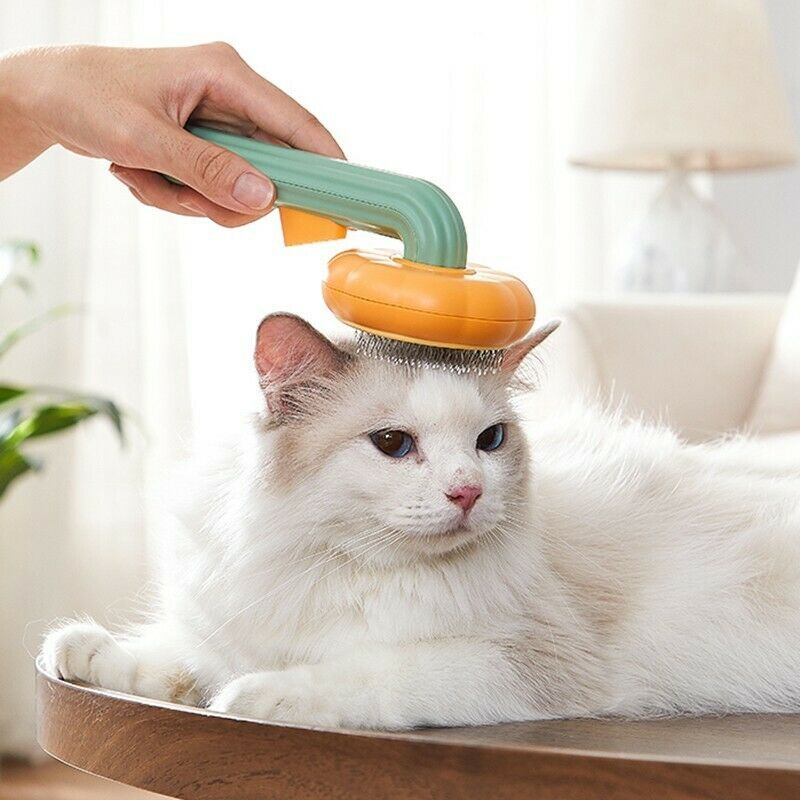 Pet Pumpkin Brush – Self-Cleaning Slicker for Dogs, Cats, and Rabbits