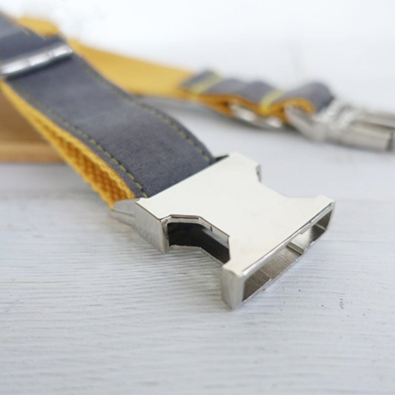 Retractable Dog Collar – Durable & Adjustable Pet Leash