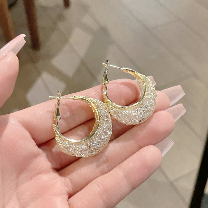 Women's Light Luxury Minority Advanced Design Zircon Earrings