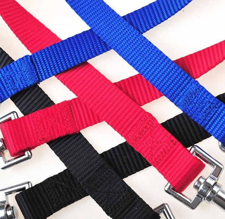 Double Dog Leash Coupler β Twin Lead for Walking