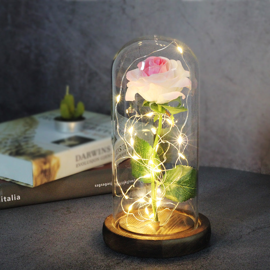 Enchanted Forever Rose Flower in Glass with LED Lights
