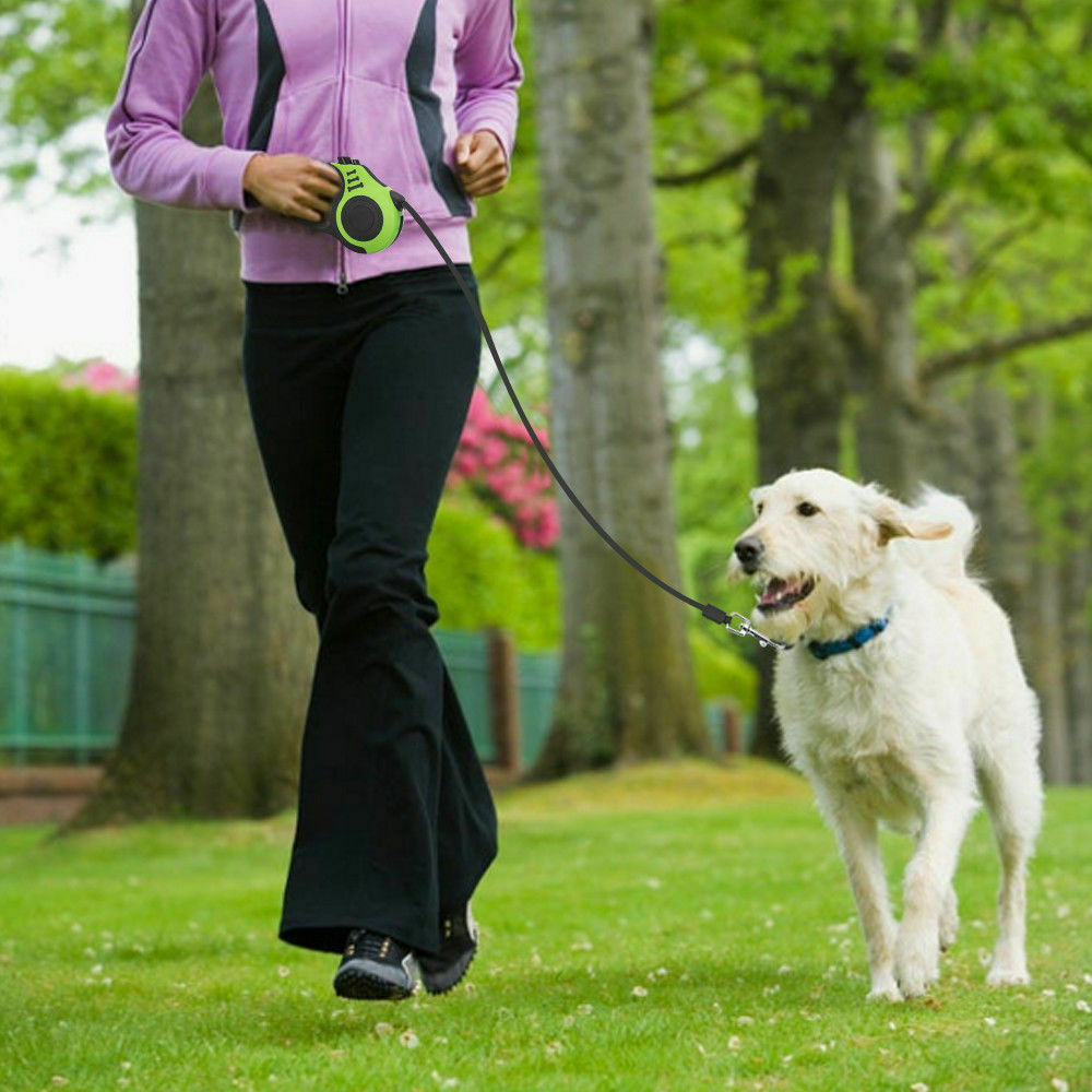 Automatic Retractable Dog Leash – Hands-Free Walking Lead