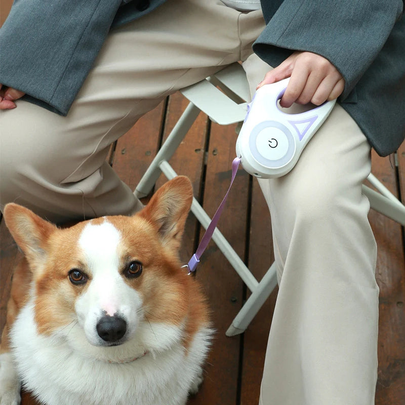 3M & 5M Retractable Dog Leash