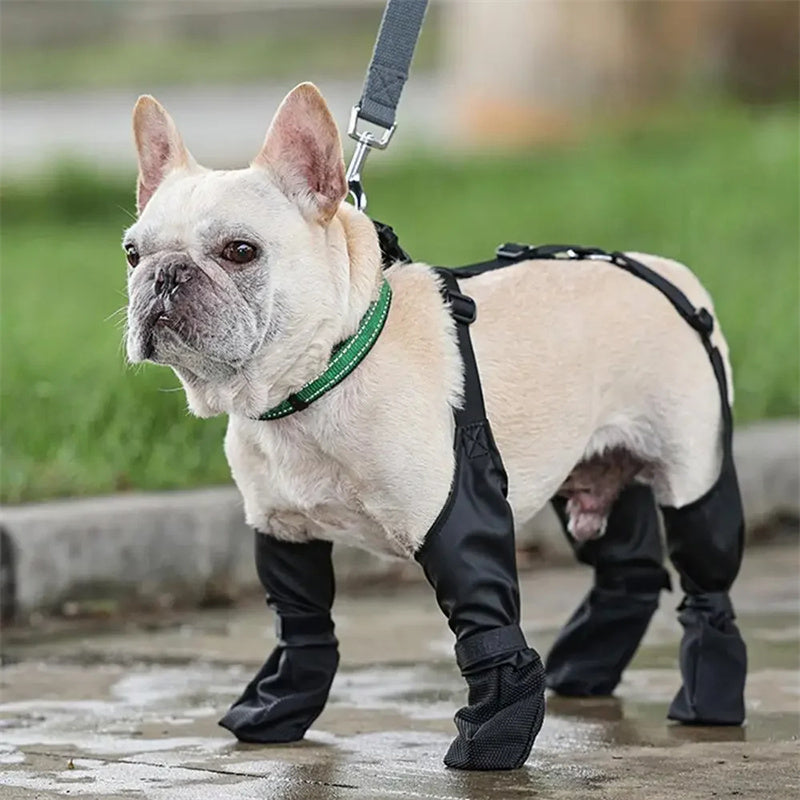 Waterproof Adjustable Dog Boots – Breathable, Soft Paws Protector
