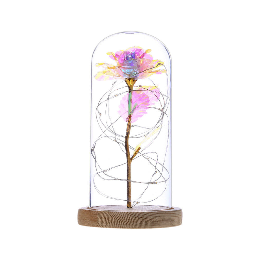 Enchanted Forever Rose Flower in Glass with LED Lights
