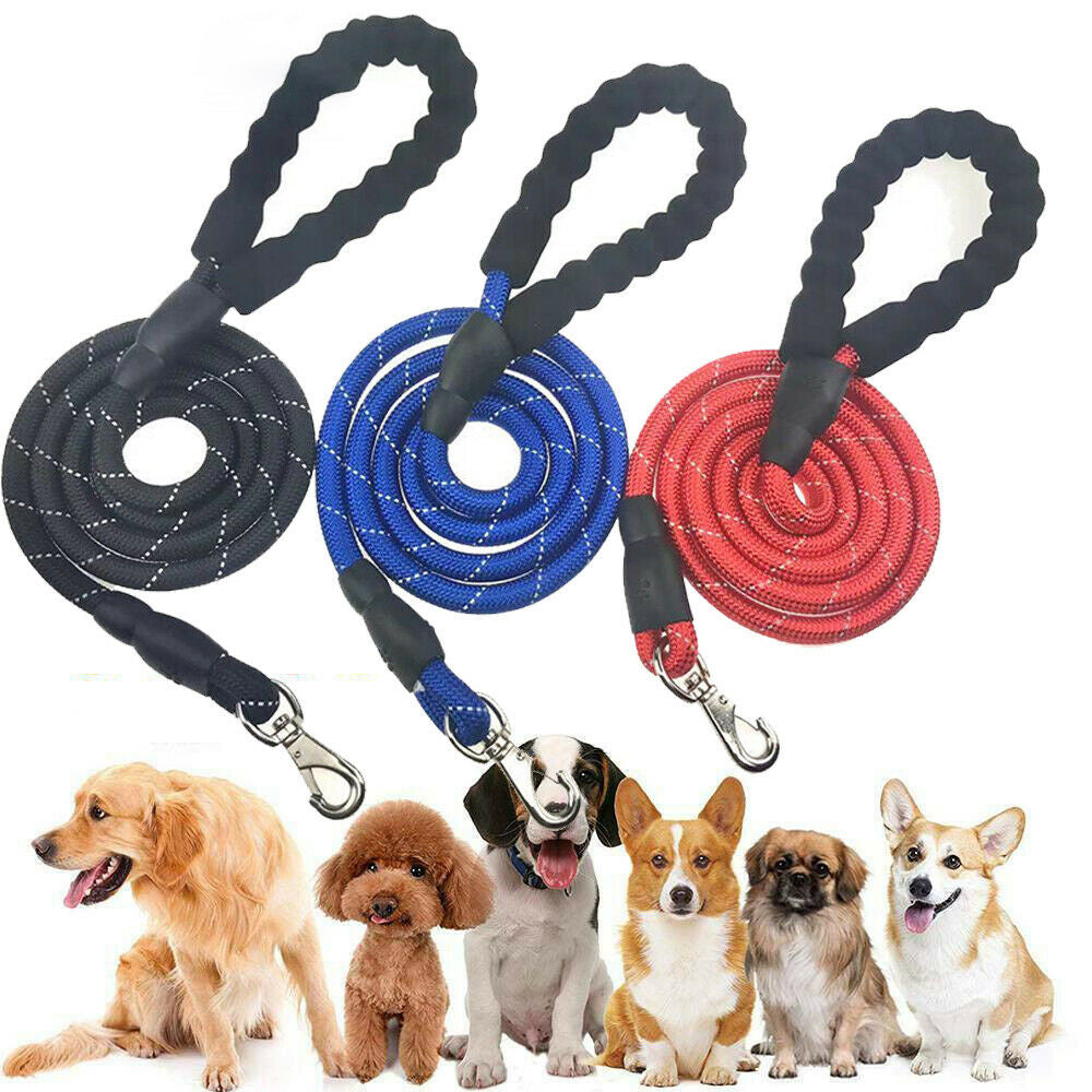 Hands-Free Elastic Dog Leash