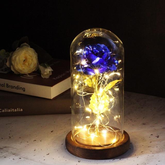Enchanted Forever Rose Flower in Glass with LED Lights