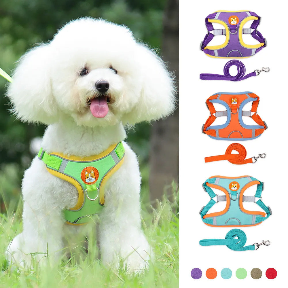 Pet Dog Adjustable Harness And Leash Set