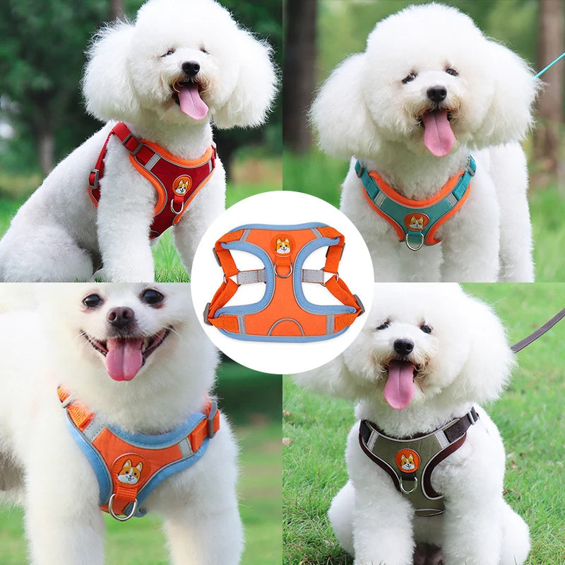 Pet Dog Adjustable Harness And Leash Set
