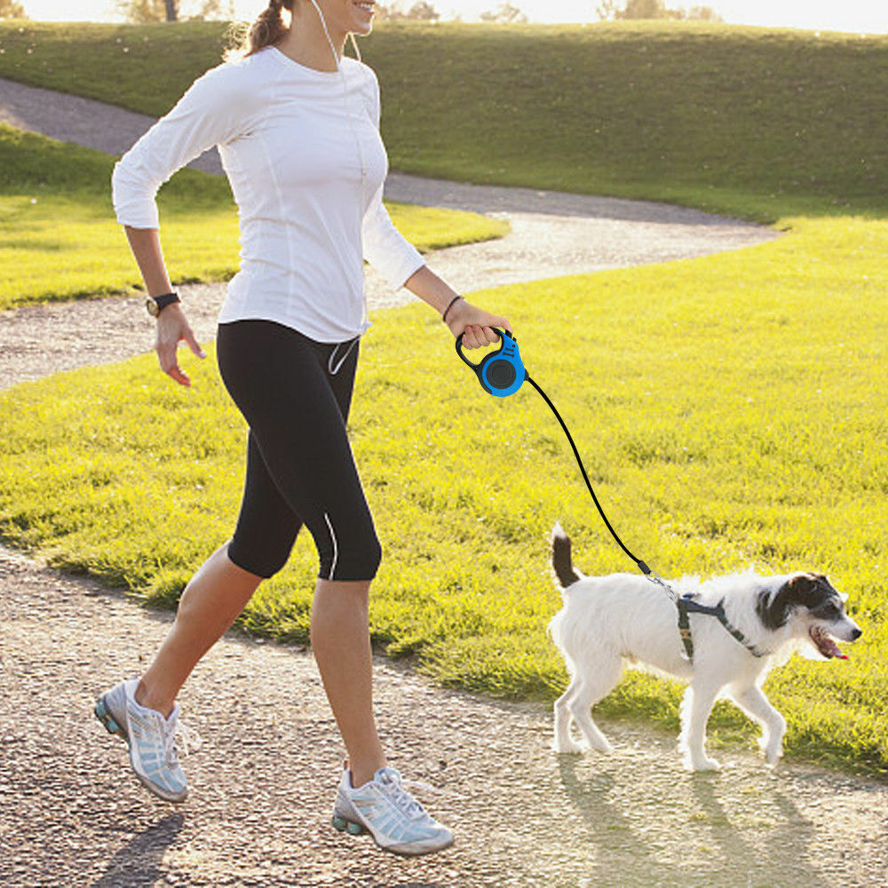 Automatic Retractable Dog Leash – Hands-Free Walking Lead
