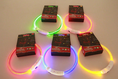USB LED Pet Collar – Rechargeable Glow Safety Necklace