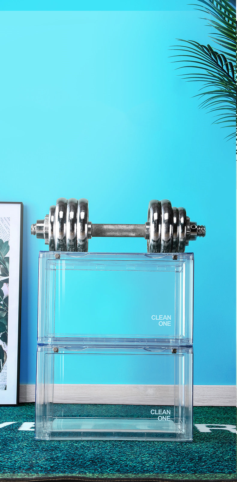 Transparent Shoe Storage Box