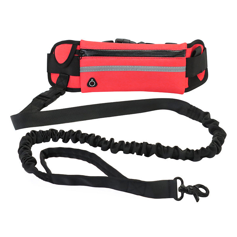 Hands-Free Bungee Dog Leash with Storage