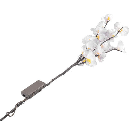 Simulation Phalaenopsis Branch Light