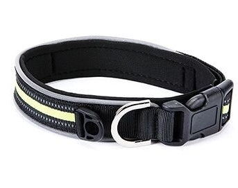 Thick Neoprene Luminous Pet Collar – Comfortable & Adjustable