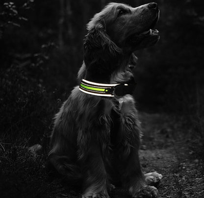 Thick Neoprene Luminous Pet Collar – Comfortable & Adjustable