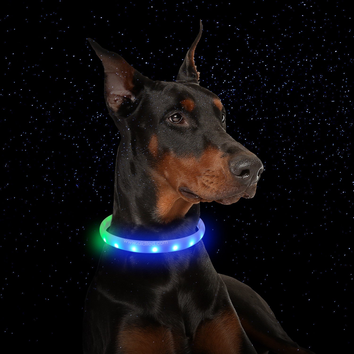 USB Rechargeable Flash Collar – Anti-Lost Silicone Necklace for Dogs