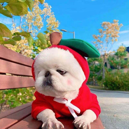 Cute Fruit Fleece Dog Hoodie