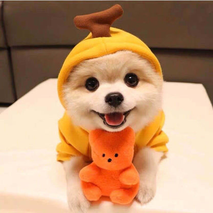 Cute Fruit Fleece Dog Hoodie