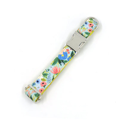 New Dog Leash
