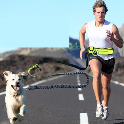 Hands-Free Dog Leash – Adjustable Waist Belt with Shock-Absorbing Bungee