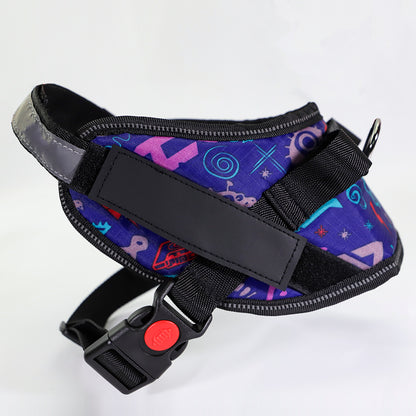 Pet Harness & Leash Set – Durable Traction Rope