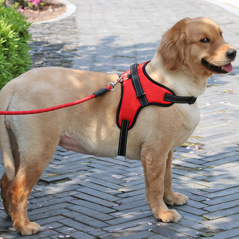 Reflective Nylon Dog Harness & Collar – Padded K9 Vest for Medium & Large Dogs