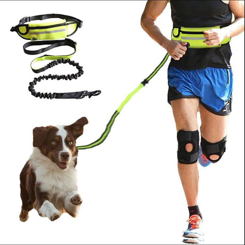 Hands-Free Bungee Dog Leash with Storage