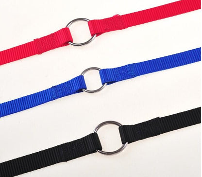 Double Dog Leash Coupler – Twin Lead for Walking