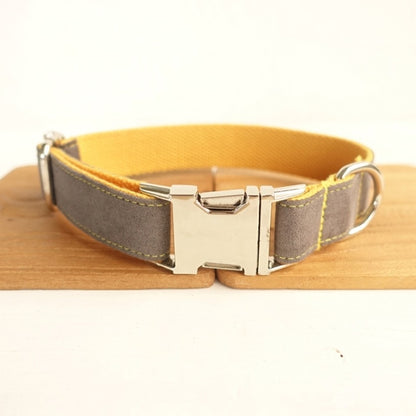 Retractable Dog Collar – Durable & Adjustable Pet Leash