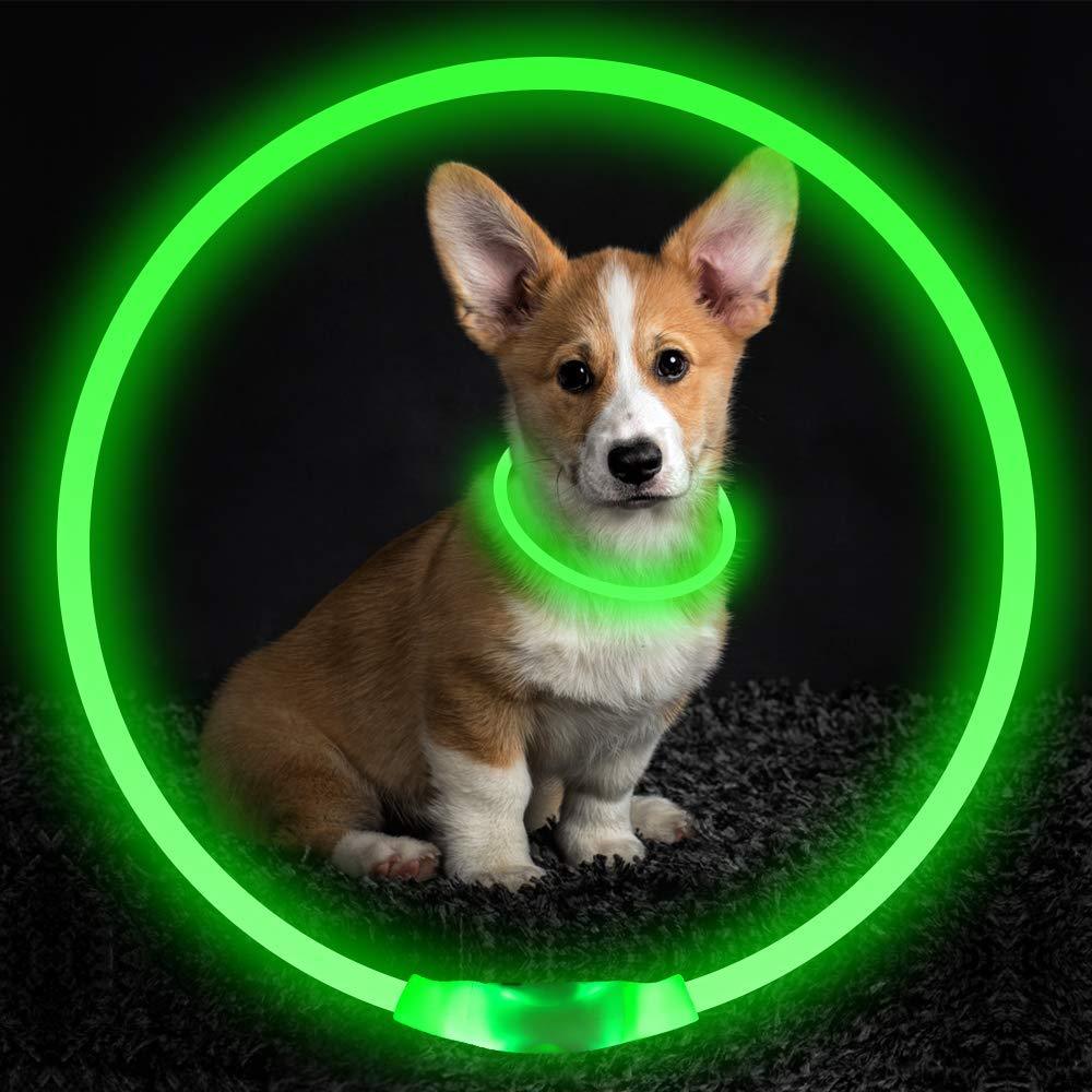 USB LED Pet Collar – Rechargeable Glow Safety Necklace