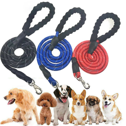 Hands-Free Elastic Dog Leash
