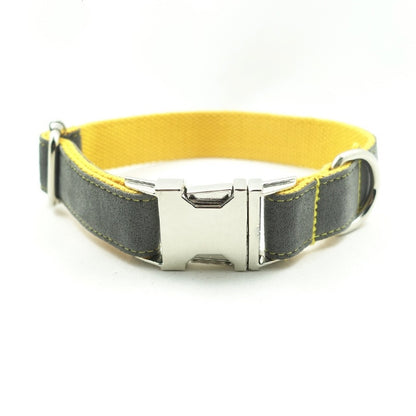 Retractable Dog Collar – Durable & Adjustable Pet Leash