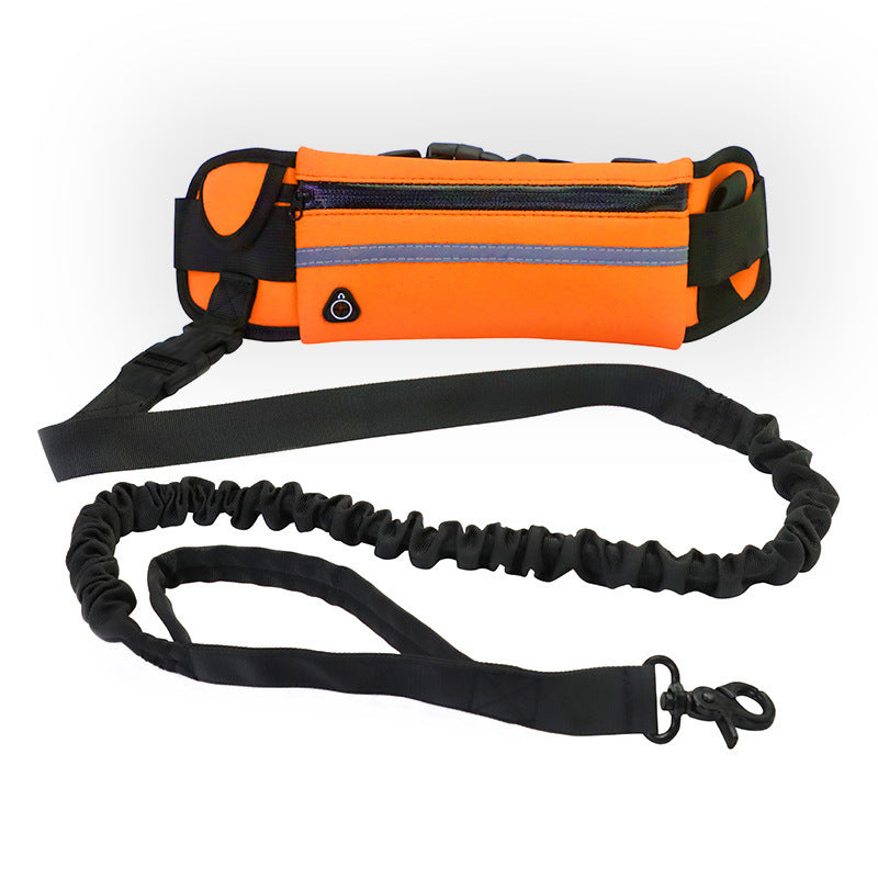 Hands-Free Bungee Dog Leash with Storage