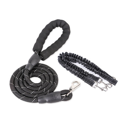 Dogs With One Tow Two Leashes Pets Double Heads