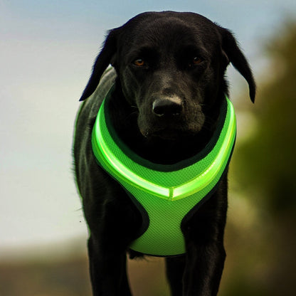 LED Dog Harness - USB Rechargeable Reflective Chest Strap for Large Dogs