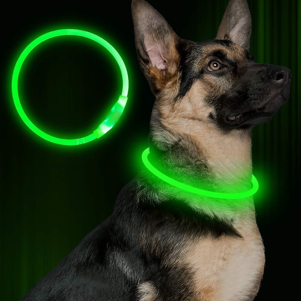 USB LED Pet Collar – Rechargeable Glow Safety Necklace