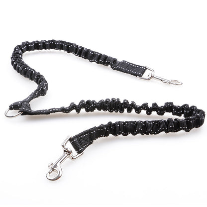 Dogs With One Tow Two Leashes Pets Double Heads